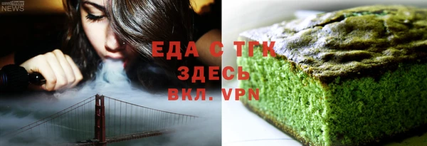 индика Дмитриев