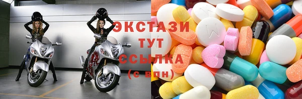 индика Дмитриев