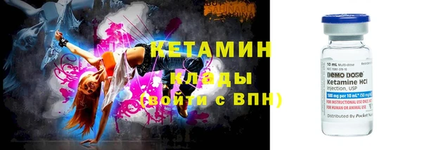 прущие грибы Дмитров