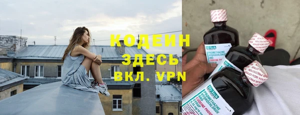 индика Дмитриев