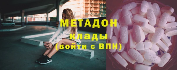 прущие грибы Дмитров