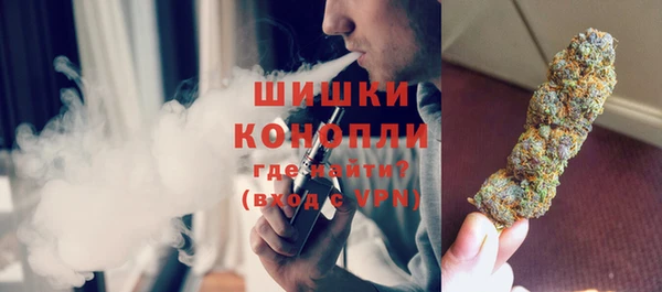 прущие грибы Дмитров