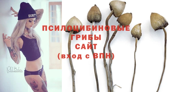 индика Дмитриев