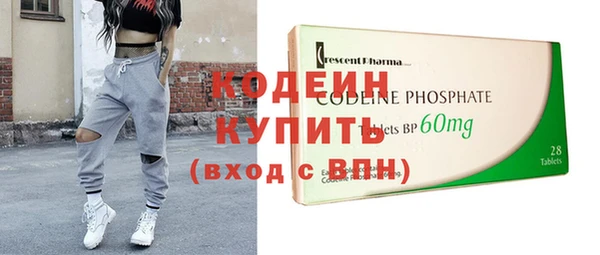 индика Дмитриев