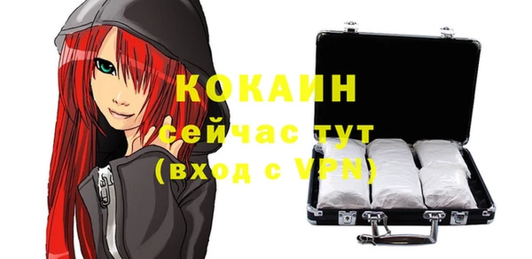 прущие грибы Дмитров