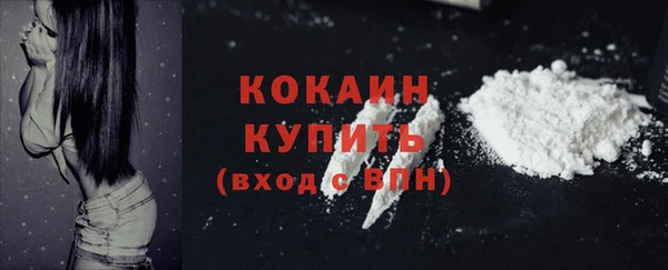 прущие грибы Дмитров