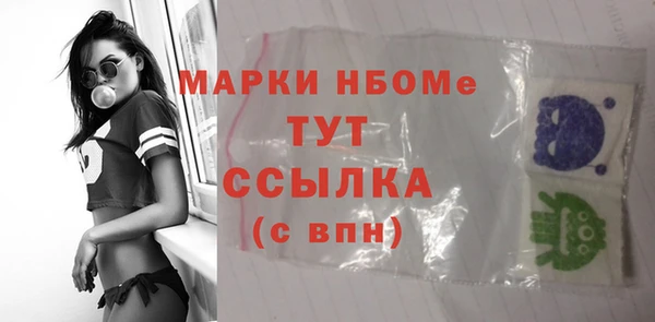 прущие грибы Дмитров