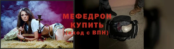 индика Дмитриев