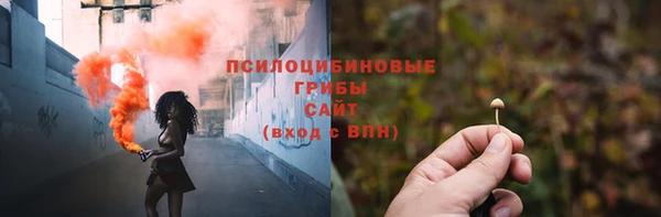индика Дмитриев