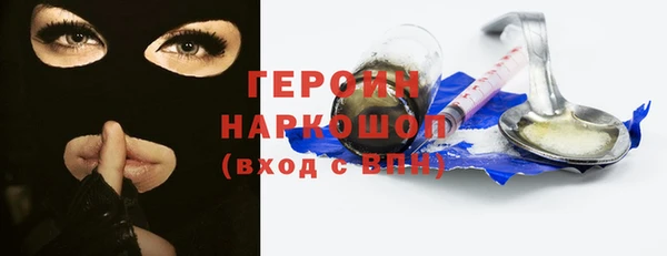 индика Дмитриев