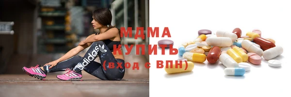 прущие грибы Дмитров