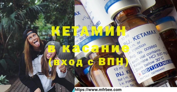 прущие грибы Дмитров