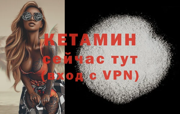 индика Гусев