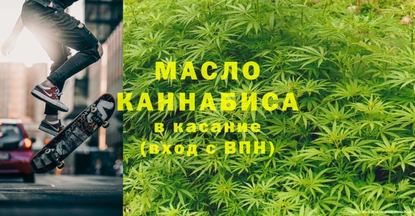 индика Дмитриев