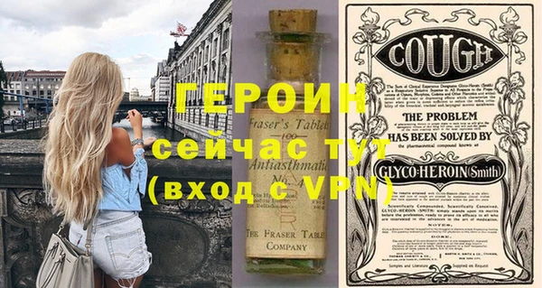 индика Дмитриев