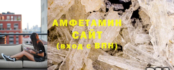 индика Дмитриев