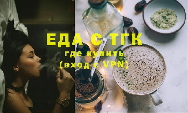 индика Дмитриев