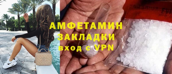 прущие грибы Дмитров