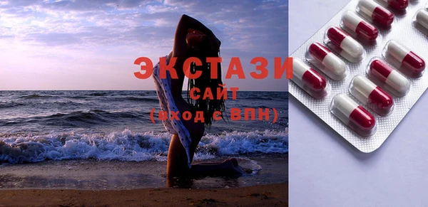 индика Дмитриев