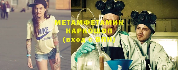 индика Дмитриев