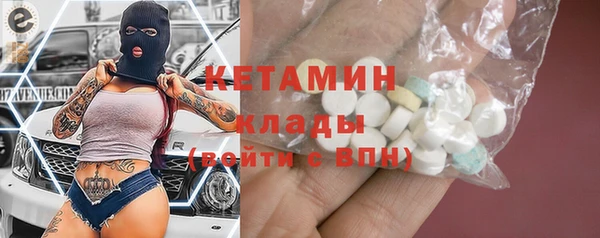 прущие грибы Дмитров