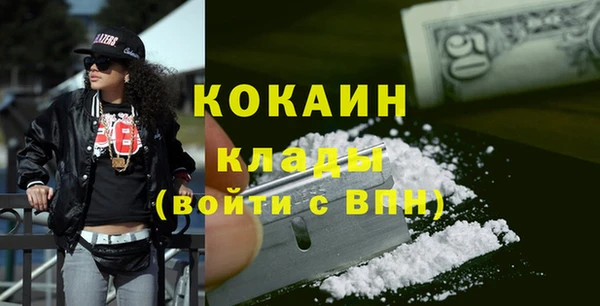 индика Дмитриев